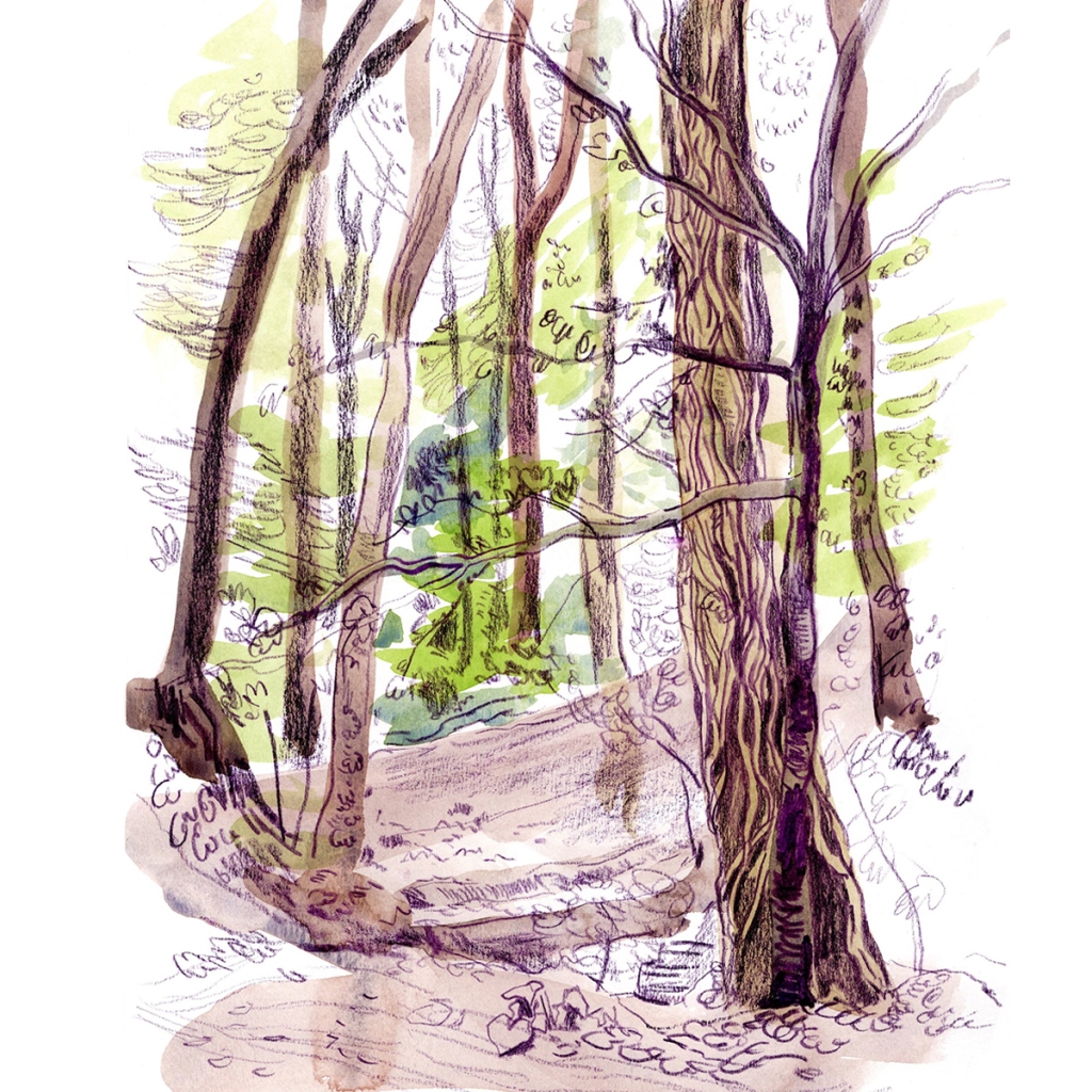 Watercolour sketch of a beautiful forest near Selsley Common, England